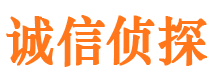 清水河市侦探调查公司